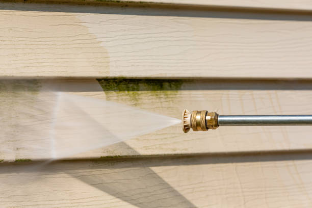 Best Roof Pressure Washing  in Essex Junction, VT